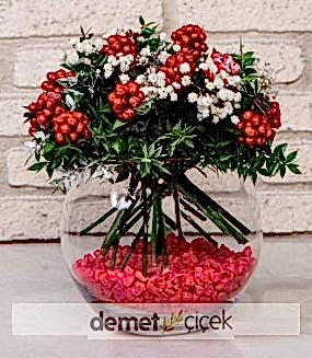 Akvaryum Vazoda Kokina Çiçeği