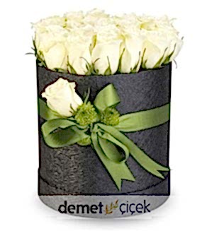 Kutuda 20 Beyaz Gül