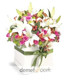 Kutuda Çardak Güller ve Lilyumlar