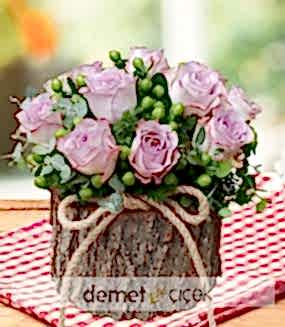 Kütükte Lila Güller