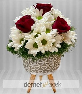 Seramikli Papatya ve Gül