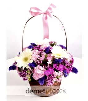 Sepette Gerbera ve Hüsnüyusuf