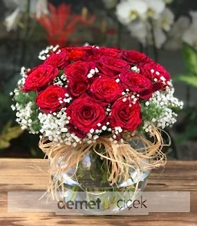 Fanusta 15 Kırmızı Gül