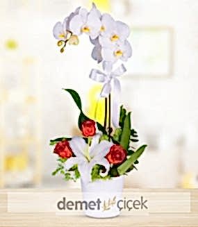 Gül ve Lilyumlu Beyaz Orkide
