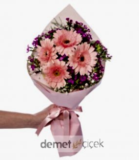 Pembe Ambalajda Hüsnüyusuf ve Gerberalar