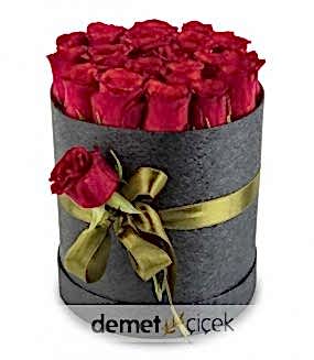 Kutuda 20 Kırmızı Gül
