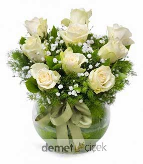 Fanusta 9 Beyaz Gül