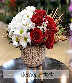 Seramikli Beyaz Papatya Kırmızı Gül