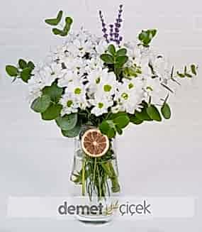 Cam Vazoda Beyaz Papatya