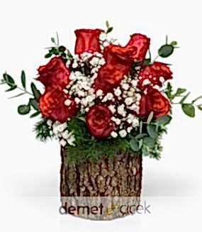 Kütükte 9lu Kırmızı Gül Aranjmanı