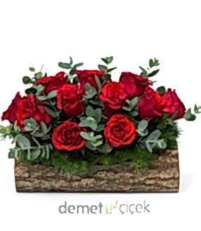 Kütükte 11li Kırmızı Gül Bahçesi