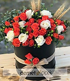 Kutuda Çardak Güller