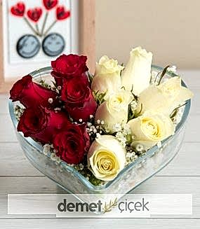 Kalp Camda Kırmızı Beyaz Güller