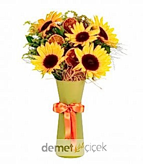 Yeşil Botanik Vazoda Ayçiçeği