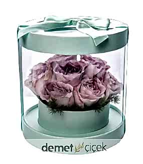 Mint Yeşili Kutuda Lila Güller