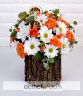 Kütükte Çardak Güller ve Papatya