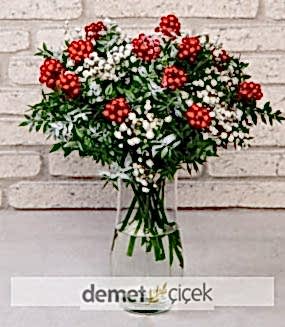 Vazoda Kokina Yılbaşı Çiçeği