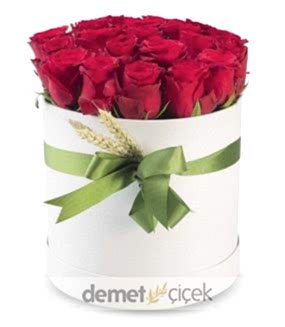 Beyaz Kutuda 20 Kırmızı Gül