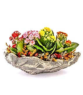 Kayıkta Kalanşolar