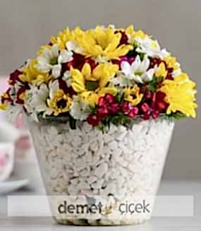 Seramikte Karışık Papatyalar