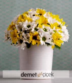 Seramikte Sarı Beyaz Papatyalar