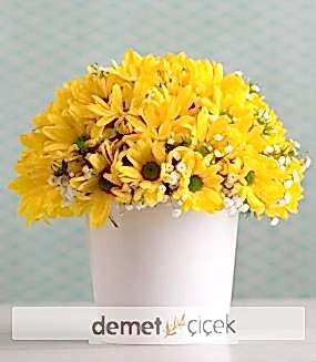 Seramikte Sarı Papatyalar